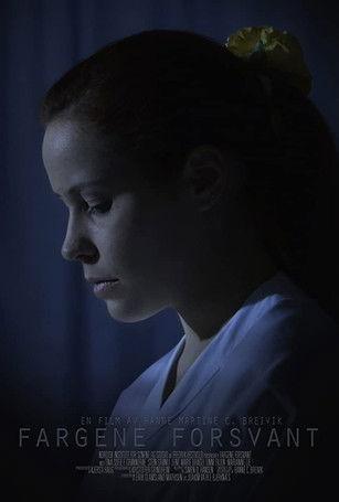 Fargene Forsvant film afişi