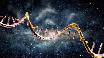 Your DNA Is (Almost Certainly) From Outer Space