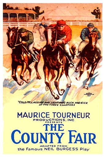 The County Fair film afişi