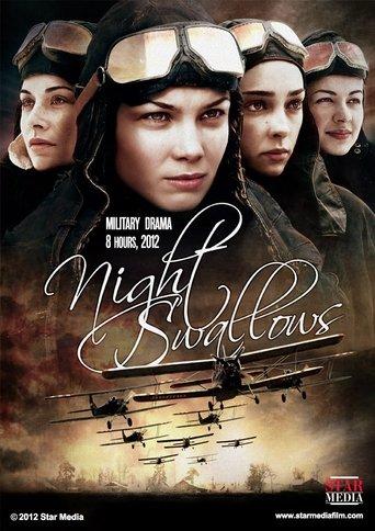 Night Swallows dizi afişi