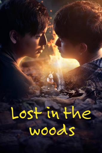 Lost in the Woods dizi afişi