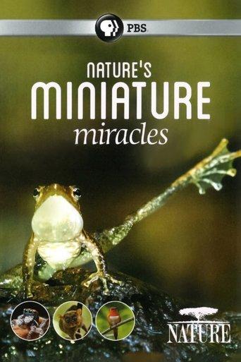 Nature's Miniature Miracles film afişi