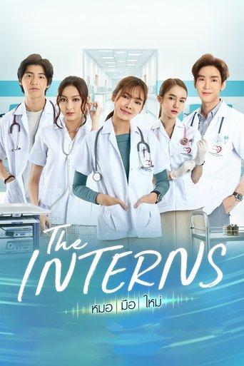 The Interns dizi afişi