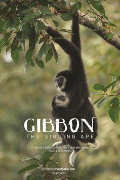 The Singing Ape, Gibbon film afişi