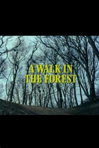 A Walk in the Forest film afişi