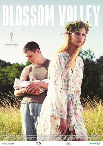 Blossom Valley film afişi