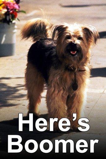 Here's Boomer dizi afişi
