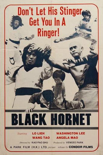 Black Hornet film afişi