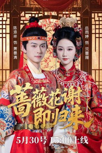 蔷薇花谢即归来 dizi afişi