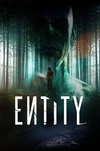 Entity film afişi
