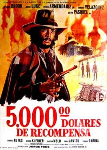 Cinco mil dolares de recompensa film afişi