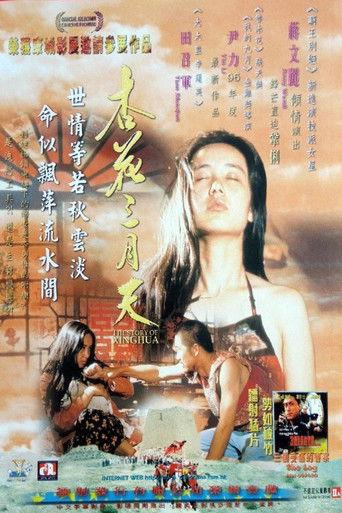 The Story of Xinghua film afişi