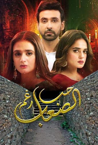 mein hari piya dizi afişi