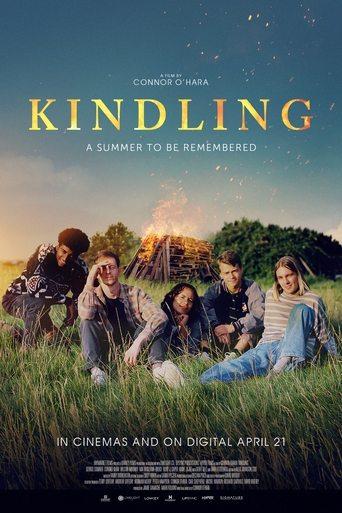 Kindling film afişi