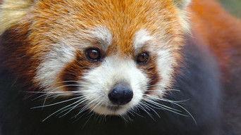 China: The Journey Begins