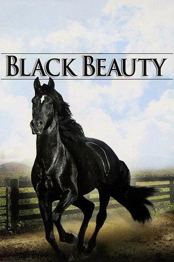 Black Beauty dizi afişi