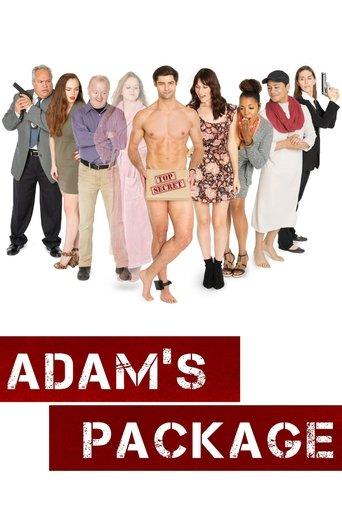Adam's Package film afişi
