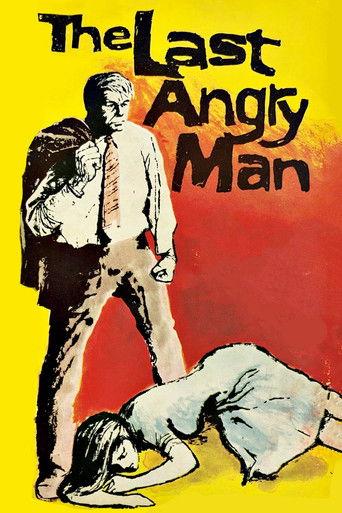 The Last Angry Man film afişi