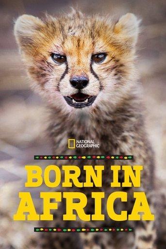 Born in Africa dizi afişi