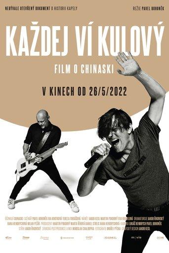 Chinaski: Každej ví kulový film afişi