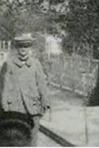 Panorama of the Moving Boardwalk film afişi