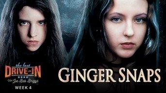 Ginger Snaps