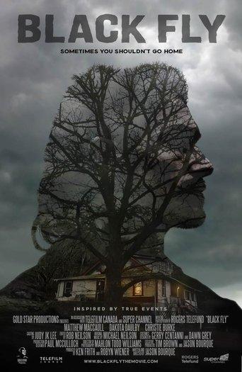 Black Fly film afişi