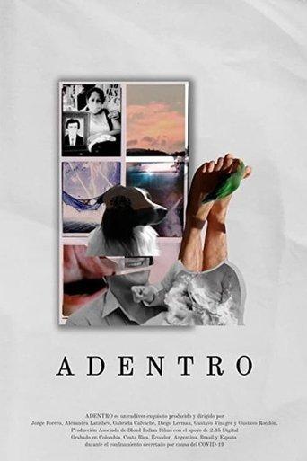 Adentro film afişi
