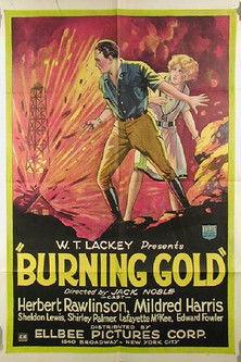 Burning Gold film afişi