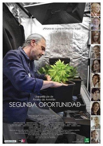Segunda oportunidad film afişi