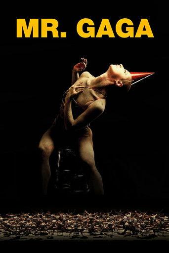 Mr. Gaga film afişi