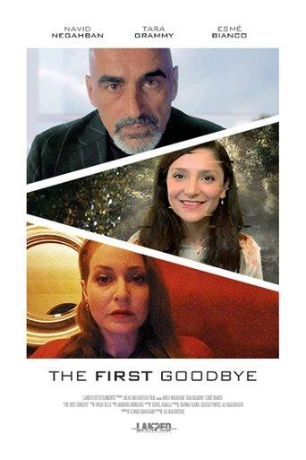 The First Goodbye film afişi