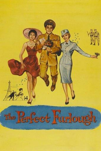 The Perfect Furlough film afişi