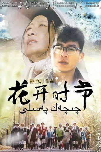 花开时节 dizi afişi