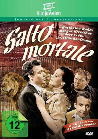 Salto Mortale film afişi