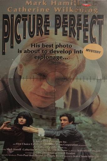 Picture Perfect film afişi