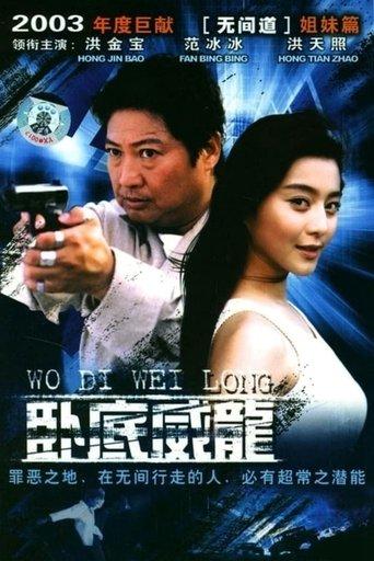 特警飞龙 dizi afişi