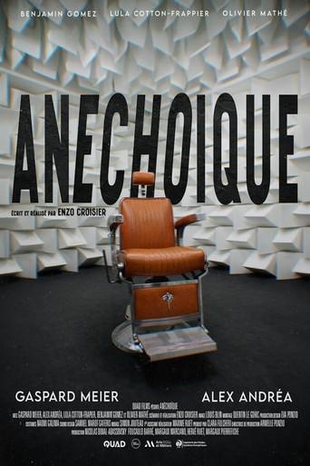 Anechoic film afişi