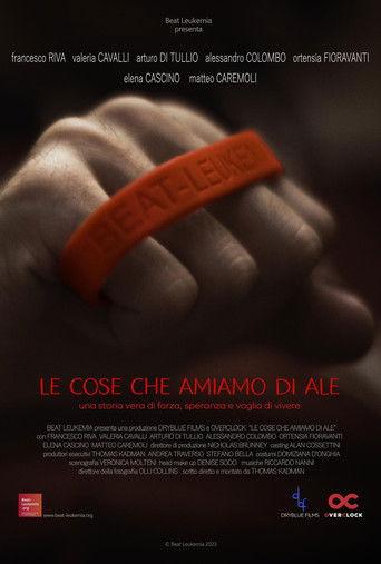 Le cose che amiamo di Ale film afişi