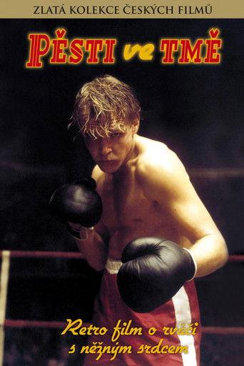 Pěsti ve tmě film afişi