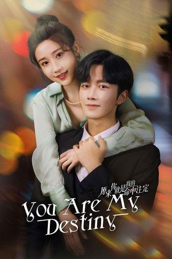 You Are My Destiny dizi afişi