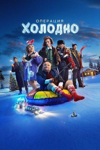Операция «Холодно» film afişi