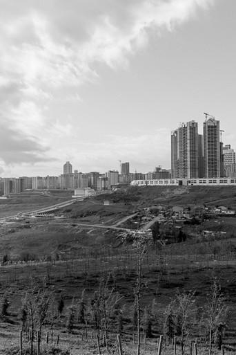 Letters from Silivri film afişi