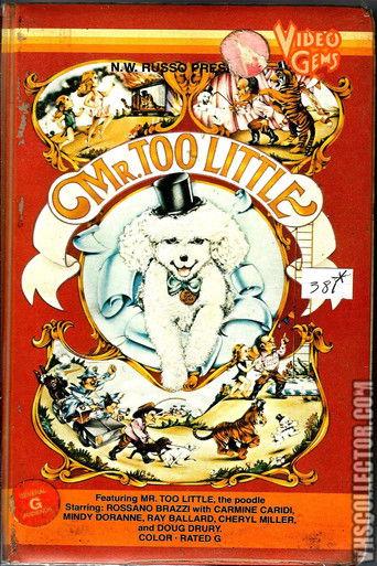 Mr. Too Little film afişi