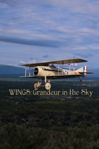 Wings: Grandeur in the Sky film afişi