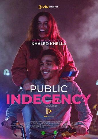 Public Indecency film afişi