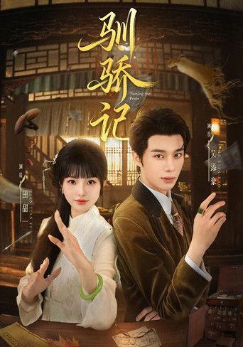 驯骄记 dizi afişi