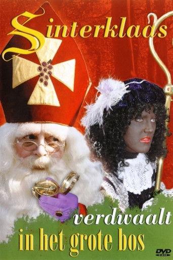 Sinterklaas Verdwaalt In Het Grote Bos film afişi