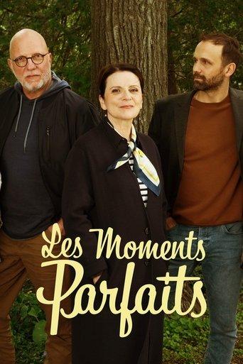 Les moments parfaits dizi afişi