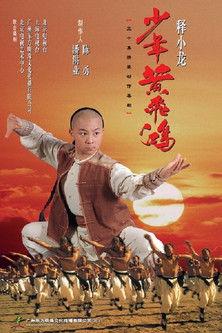 The Young Wong Fei Hung dizi afişi